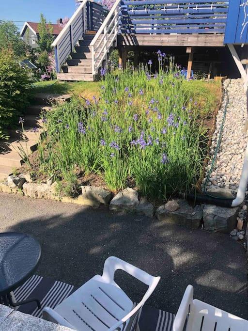 Mountain View Near Oslo: Bedroom, Lounge, Kitchen And Bathroom. Flat In Rykkinn Apartment Kolsas