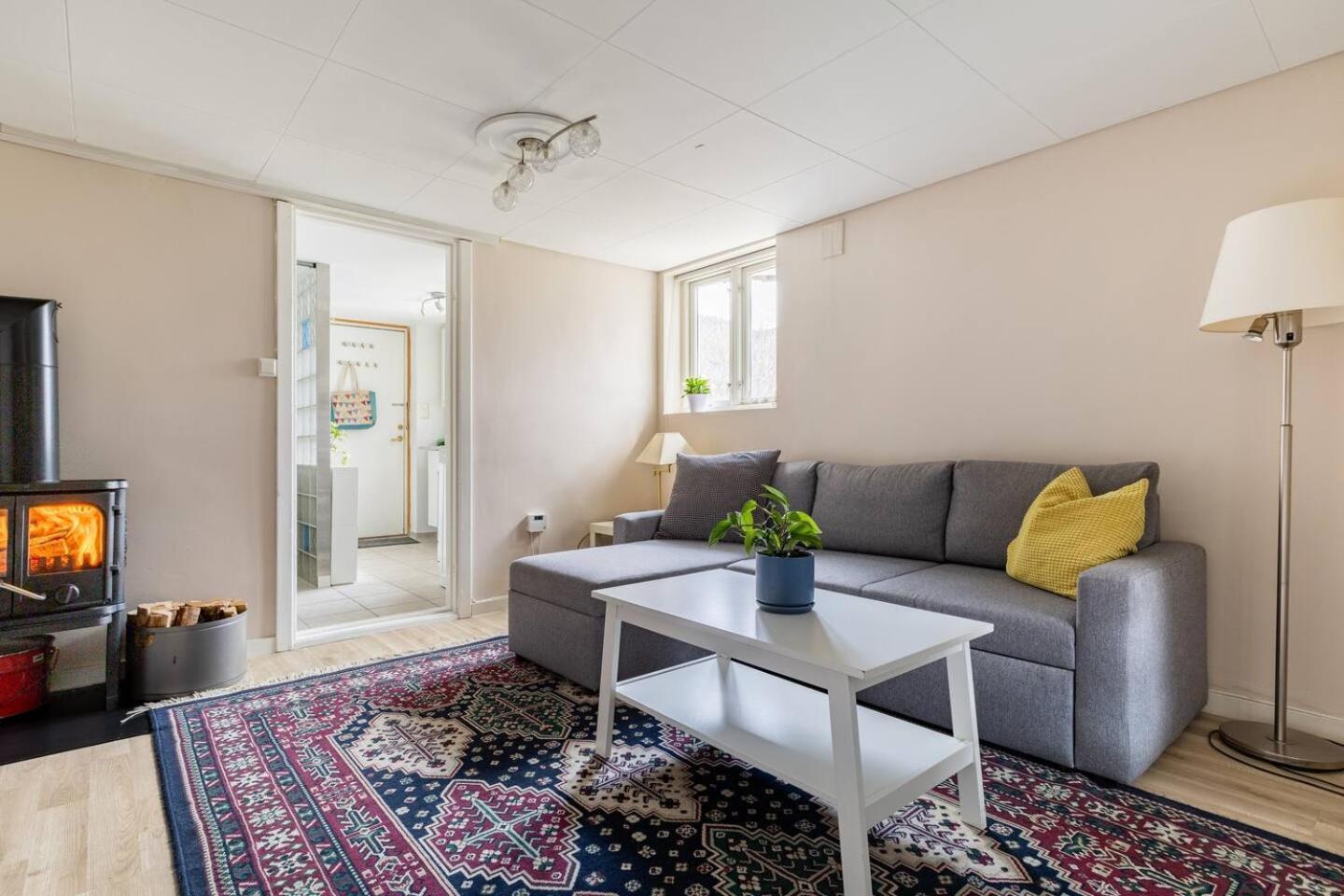 Mountain View Near Oslo: Bedroom, Lounge, Kitchen And Bathroom. Flat In Rykkinn Apartment