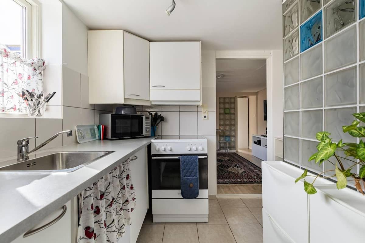 Apartment Mountain View Near Oslo: Bedroom, Lounge, Kitchen And Bathroom. Flat In Rykkinn