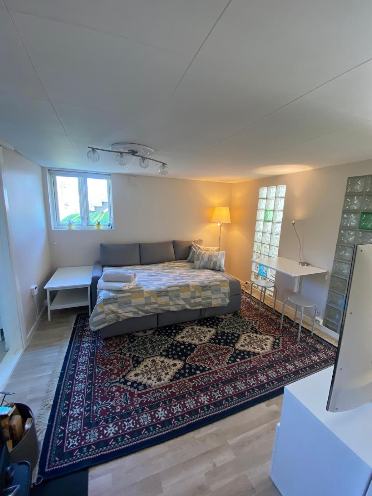 Apartment Mountain View Near Oslo: Bedroom, Lounge, Kitchen And Bathroom. Flat In Rykkinn *